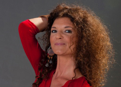 Doppelkonzert mit Hein D. Heisl & Sonix - Wien & andre Gschichten