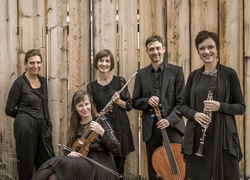 Camerata Variabile - Toys - Spielzeuge