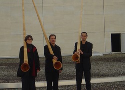 Echo vom Zürihorn - Alphörner und mehr