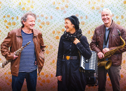 Cornelia Montani: Klärli und der belgische Pilot - Eine Liebe im 20. Jahrhundert