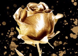 SHpektakel: Bilder und Plakate 2000 bis 2020 - Vernissage