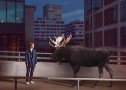 Raphael Jost - Swingin' Christmas Night